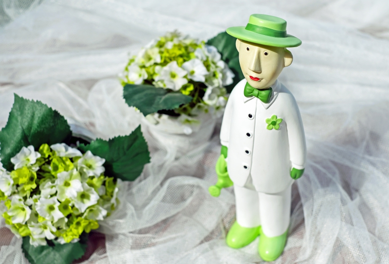 vitrine-BREIL SUR ROYA-min_man-person-flower-green-toy-fig-546529-pxhere.com